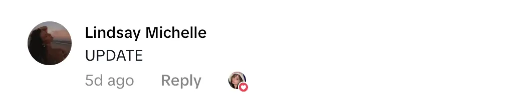 Credit: TikTok