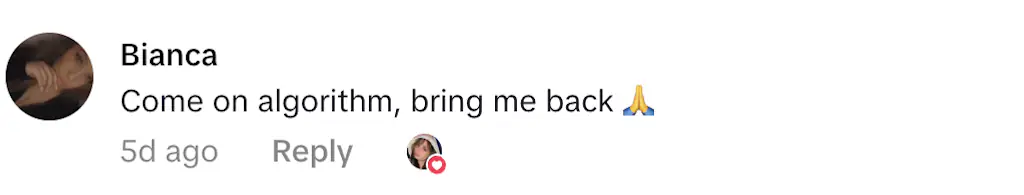 Credit: TikTok