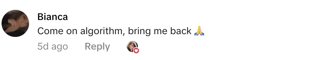 Credit: TikTok