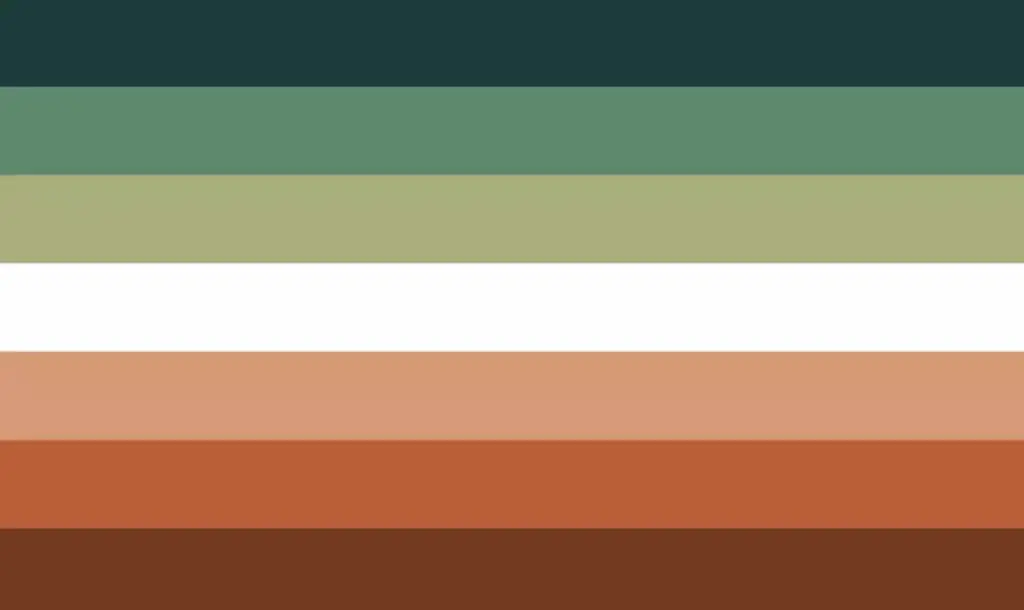 The nebulasexual flag. Credit: Tumblr