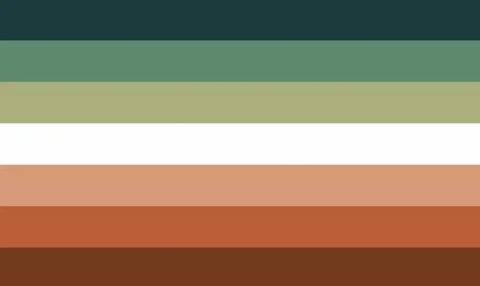 The nebulasexual flag. Credit: Tumblr