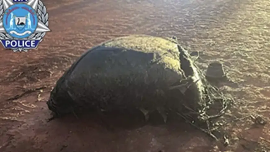 Screenshot 2025-10-20 at 16.10.20.jpg