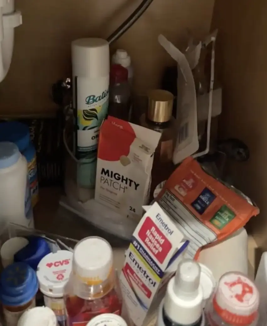 Lauren found an array of products. Credit: @lauren_deel / TikTok
