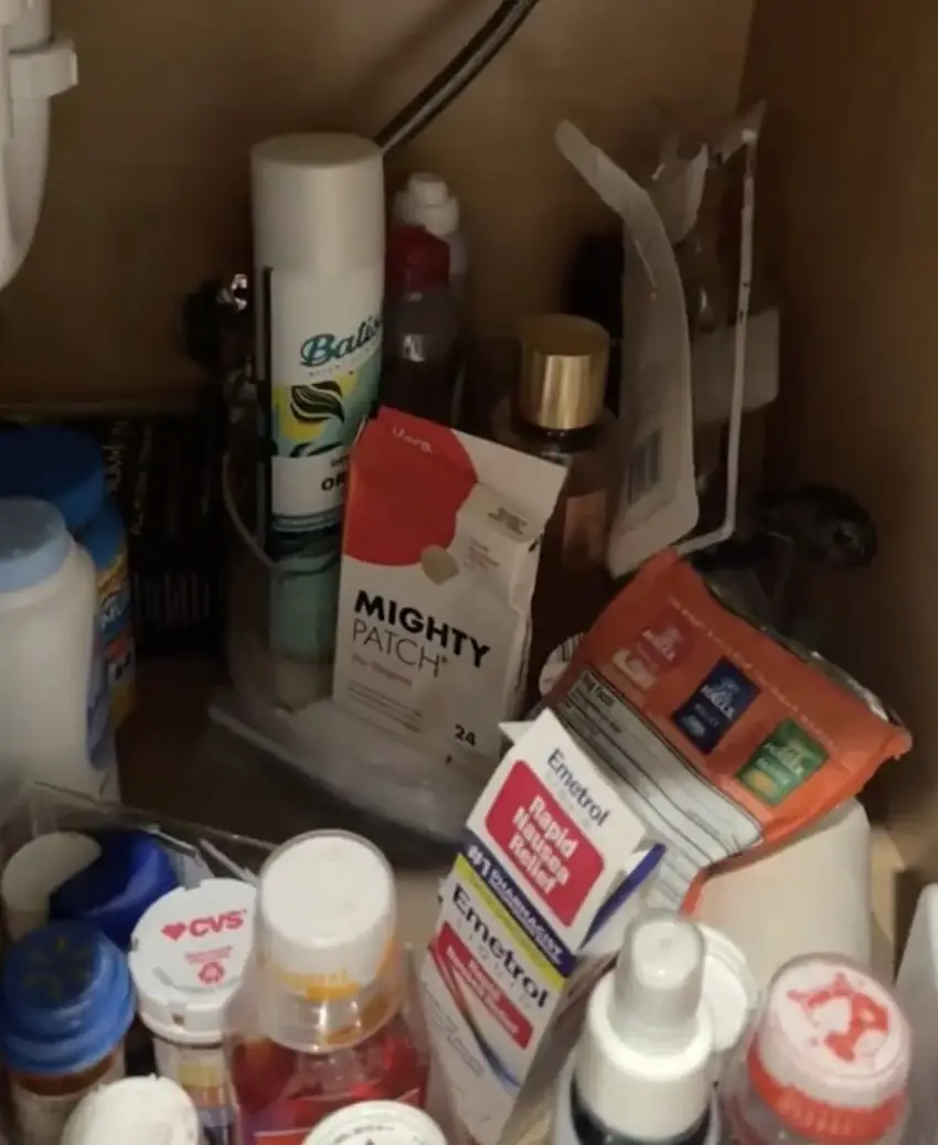 Lauren found an array of products. Credit: @lauren_deel / TikTok