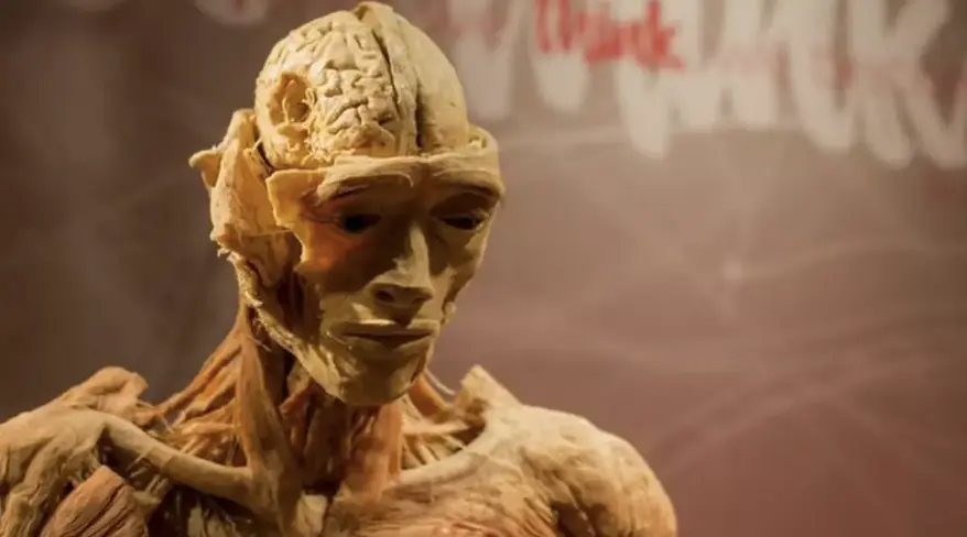 Real Bodies' 'The Thinker'. Credit: Change.org.