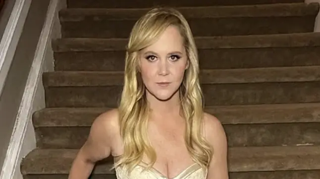 Amy Schumer opened up on the difficult operation. Credit: Amy Schumer/Instagram.