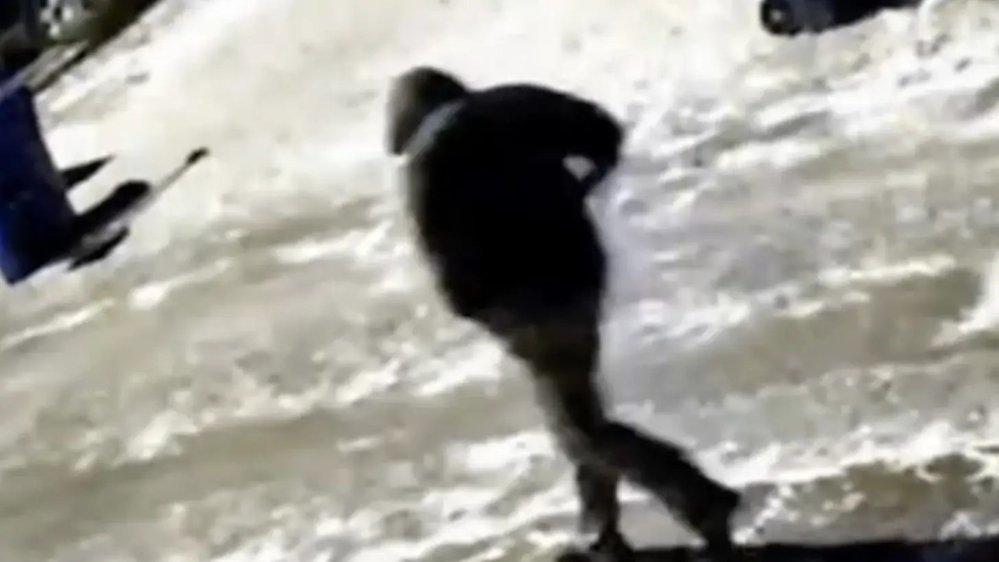 Person of interest walking in the alley near the Tepe residence - Spencer Tepe and Monique Tepe case.