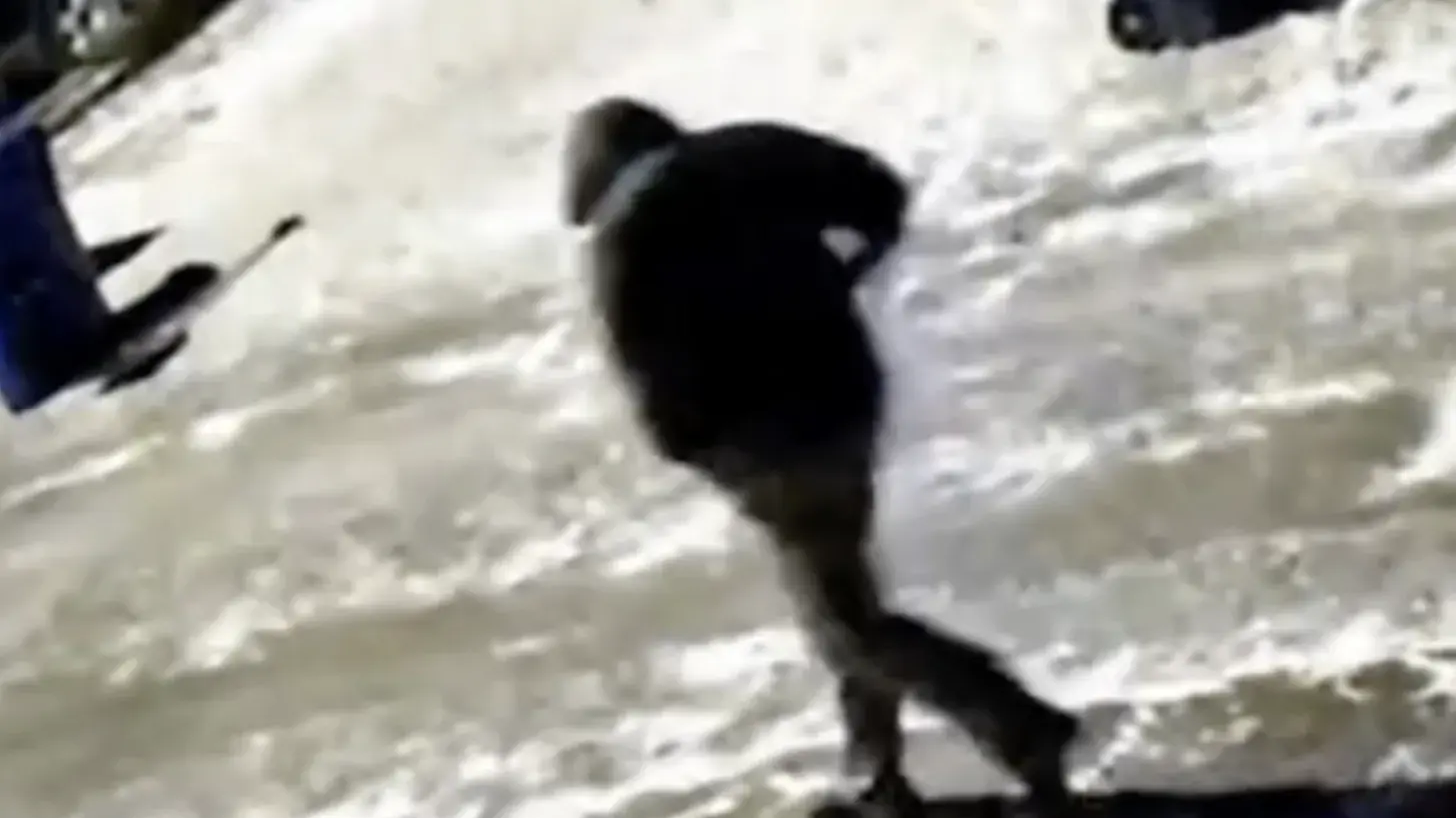 Person of interest walking in the alley near the Tepe residence - Spencer Tepe and Monique Tepe case.