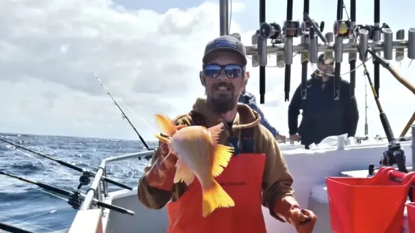 Screenshot 2026-03-03 at 12.23.30.jpg