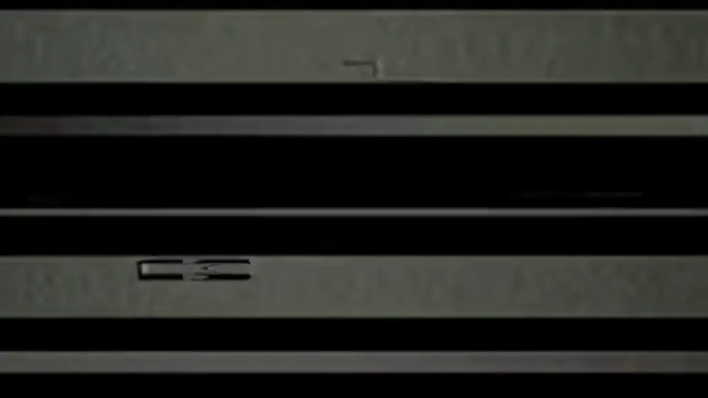 The post only featured some glitchy visuals. Credit: X/White House