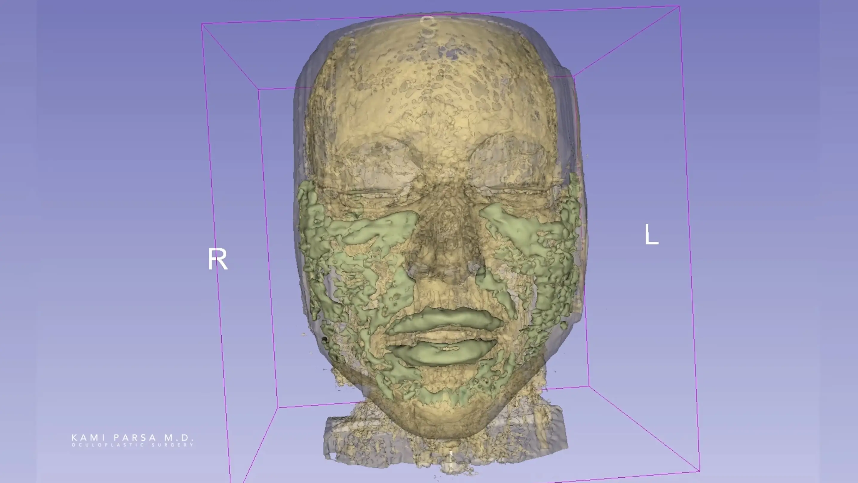 Screenshot 2026-03-27 at 10.36.03.jpg