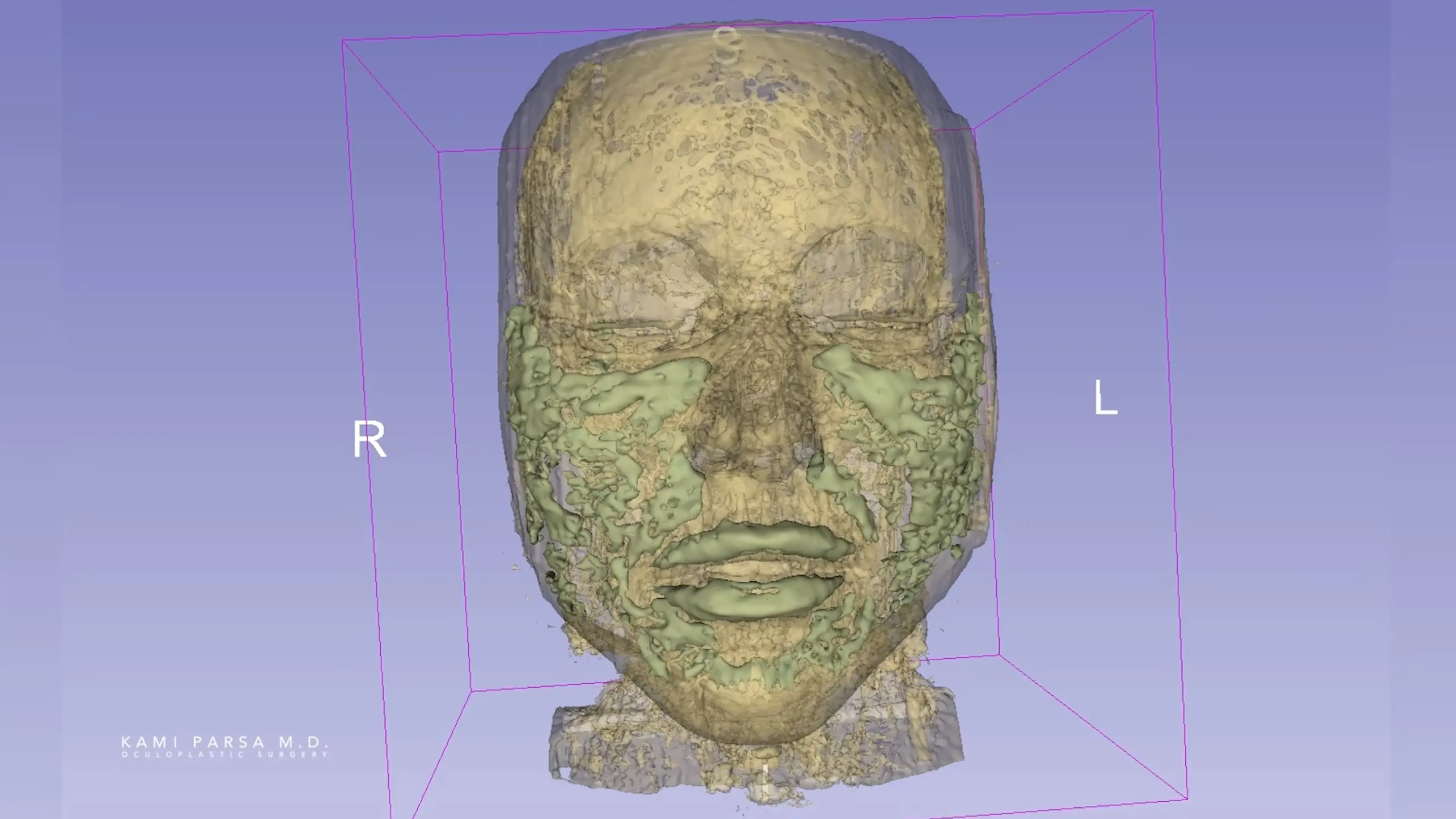 Screenshot 2026-03-27 at 10.36.03.jpg