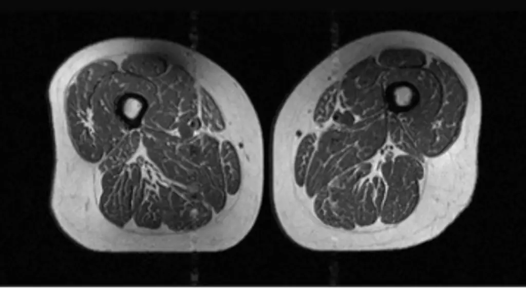 Radiology 