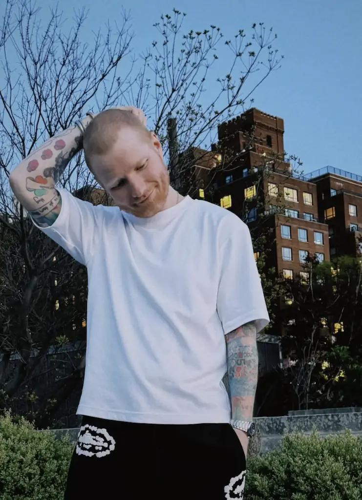 Ed Sheeran shaved his head. Credit: Instagram