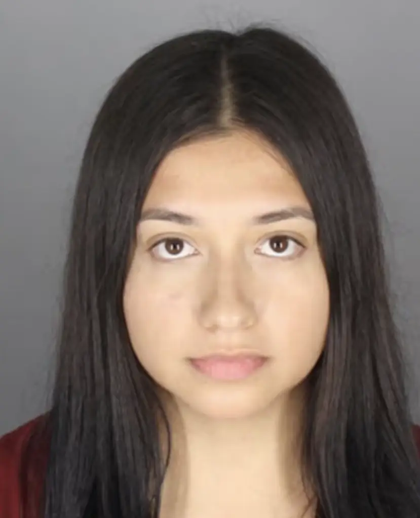  The teacher pleaded guilty to her crimes against the minor. Credit: Oakland County Jail