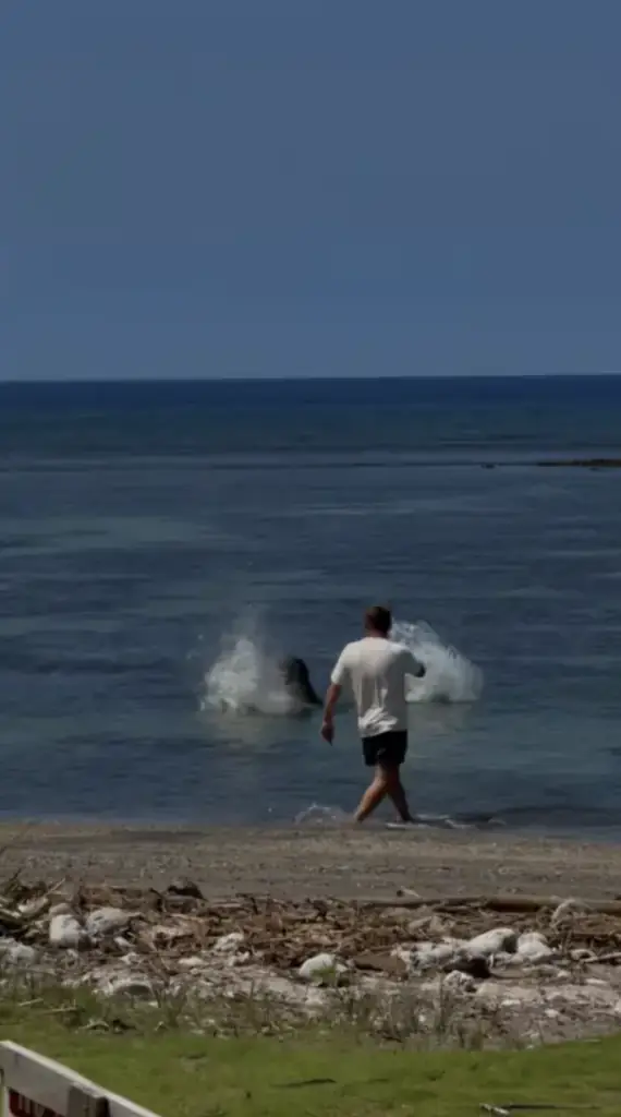 The tourist is facing five-figure fines for his actions on the Hawaii beach. Credit: United States Attorney's Office