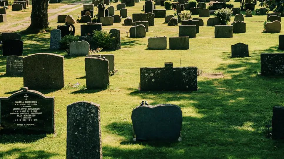 Graves in a cemetery