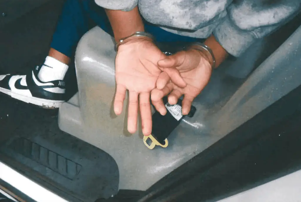 Images of Anthony being arrested were also released. Credit: Collin County