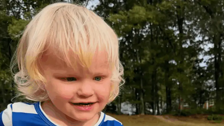 Three-year-old Elijah was found dead in his family pool. Credit: GoFundMe