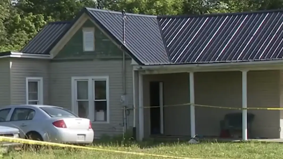 Expert explains the devastating effect growing up in the Ohio 'house of horrors' could have on the 16 children's brains