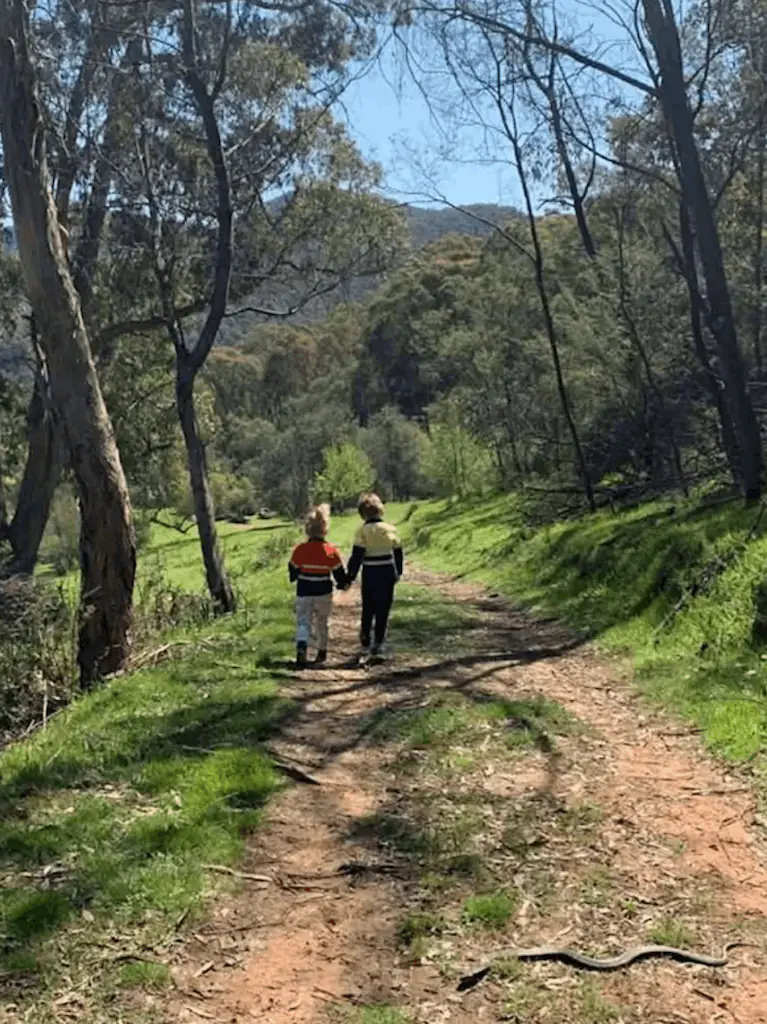 The snake was just centimetres away from the boy's foot, and the family had no idea. Credit: Facebook