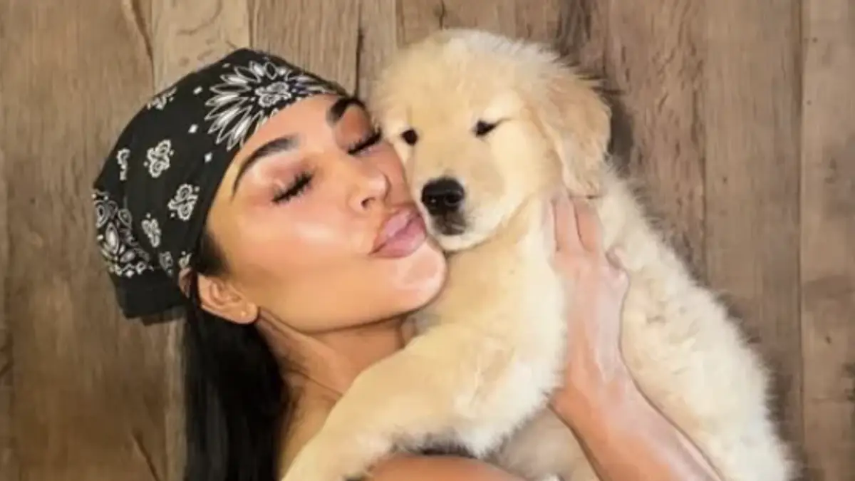 Kim Kardashian and Lewis Hamilton take relationship to next level with new addition