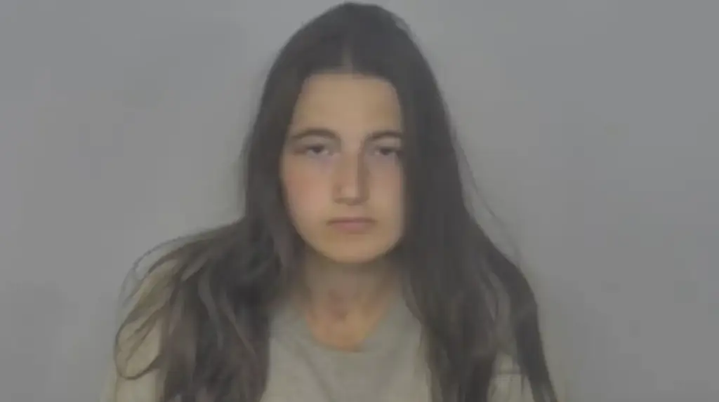 The 22-year-old mom is accused of attacking her children in a knife attack in their North Dakota home. Credit: Burleigh County