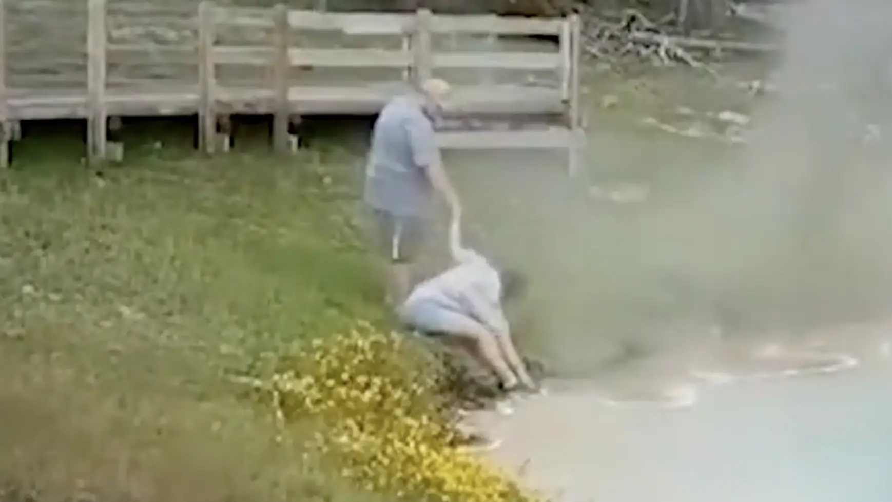 The woman lost all logic and decided to touch the scalding hot water. Credit: X