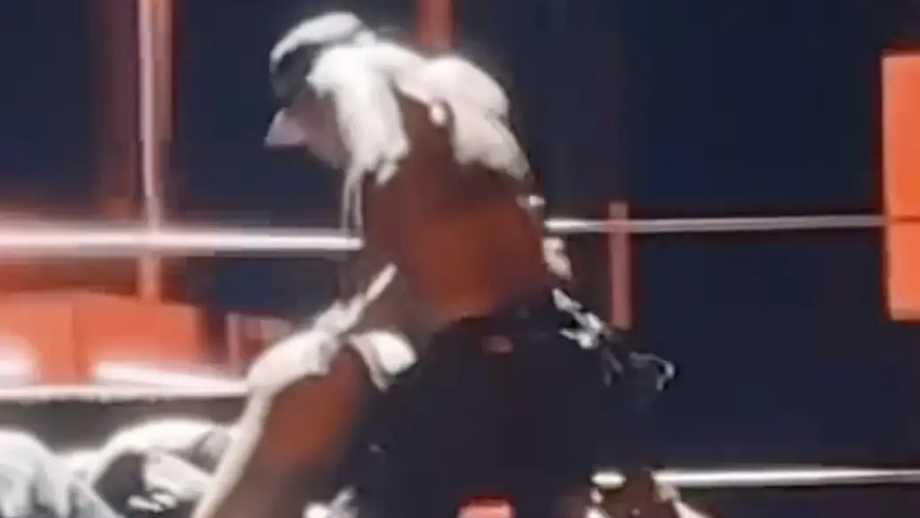 Chris Brown on stage with the woman in Toronto. Credit: X