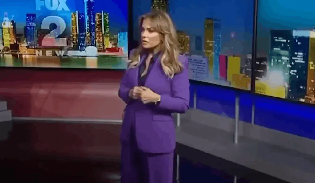 The former Fox News presenter could be seen losing her temper with a colleague, who was off-camera. Credit: Fox 2 Detroit