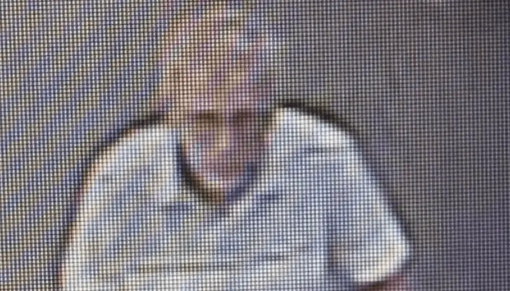 Police have released images of a suspect at Walmart. Credit: Albany GA Police Department