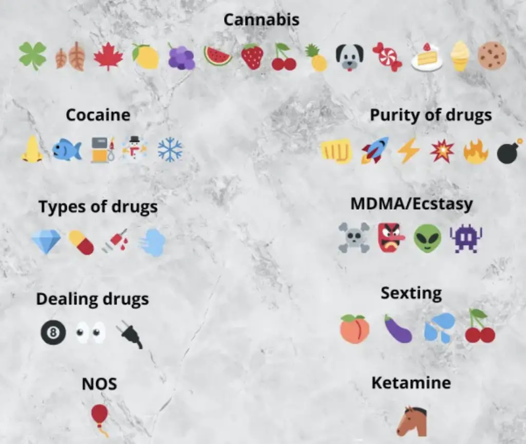 Surrey Police shared a guide to help parents decipher the hidden meaning behind some emojis. Credit: Surrey Police
