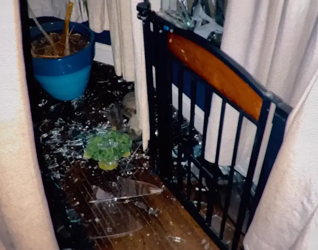 Jamal 'JT' Thomas smashed the couple's windows on several occasions. Credit: Netflix