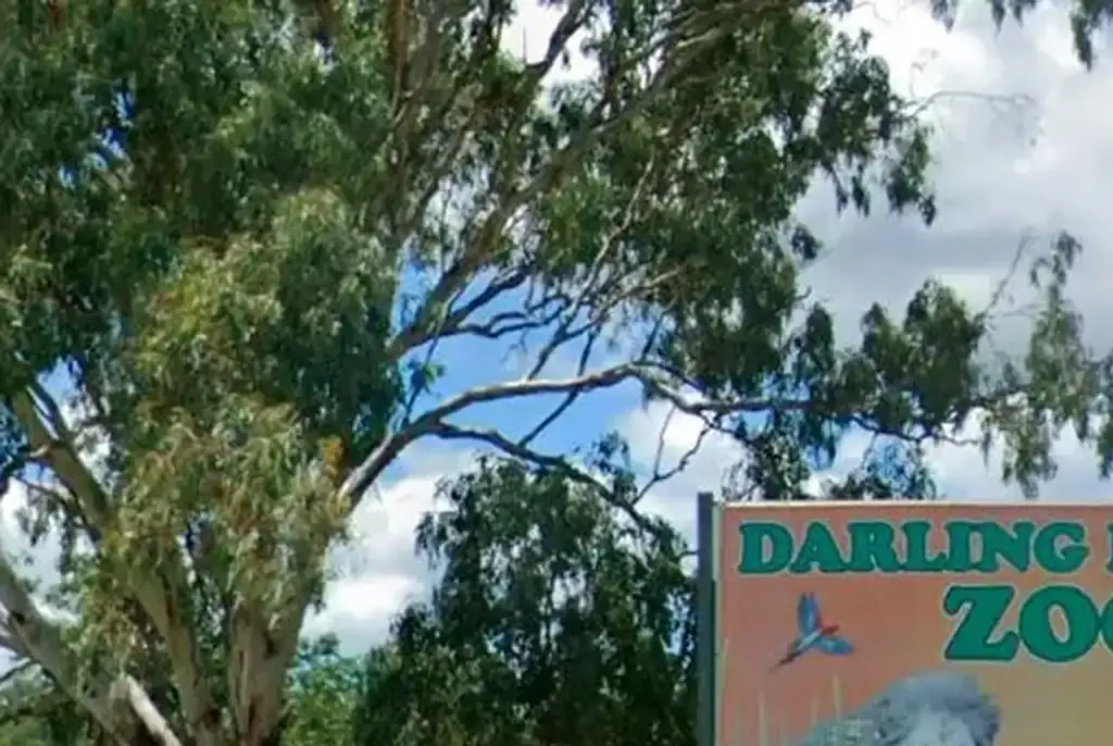 A woman in her 50s was attacked and injured severely by a lion at Darling Downs Zoo. Credit: Google Maps