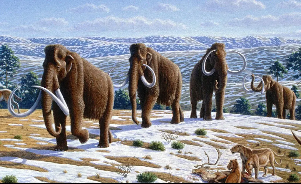 Scientists have moved a massive step closer to bringing the woolly mammoth back from extinction