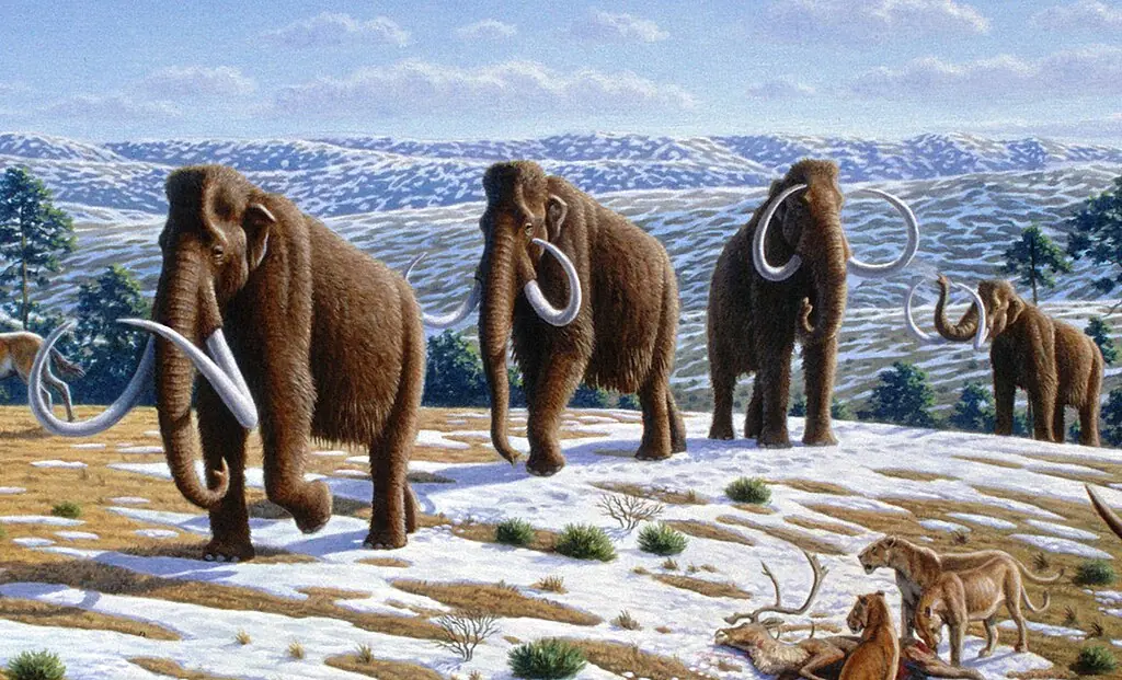 Scientists have moved a massive step closer to bringing the woolly mammoth back from extinction