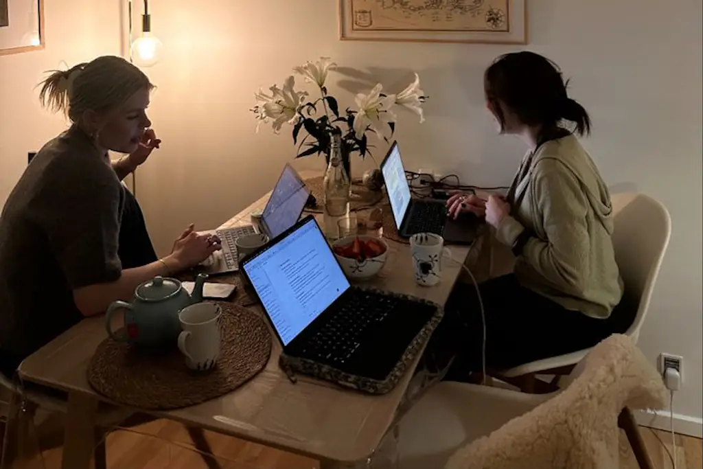  Credit: Clara Fester Schindler/ Pintrest 