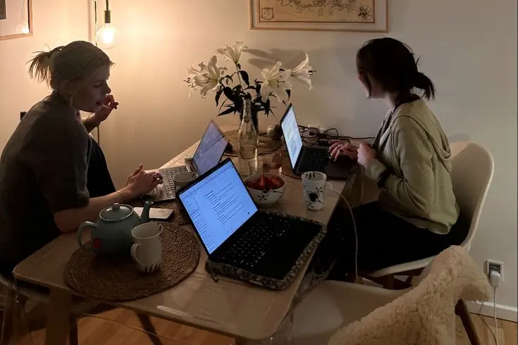  Credit: Clara Fester Schindler/ Pintrest 