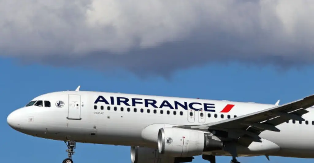 Passenger suddenly dies on flight to Boston despite attempts from doctor to save them, Massachusetts State Police investigates