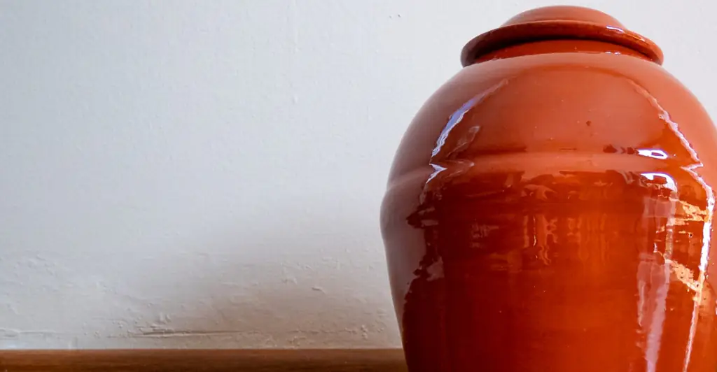 Widow reveals the disturbing things she did with husband's ashes after finding out after he died that he cheated and visited escorts