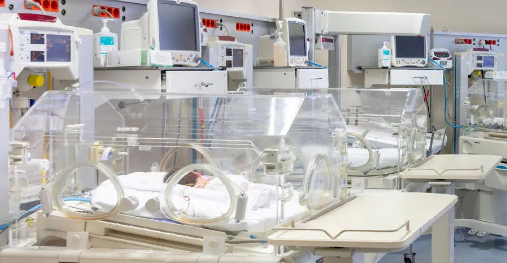 Woman, 26, with 22 biological children says she plans to have over 100 kids