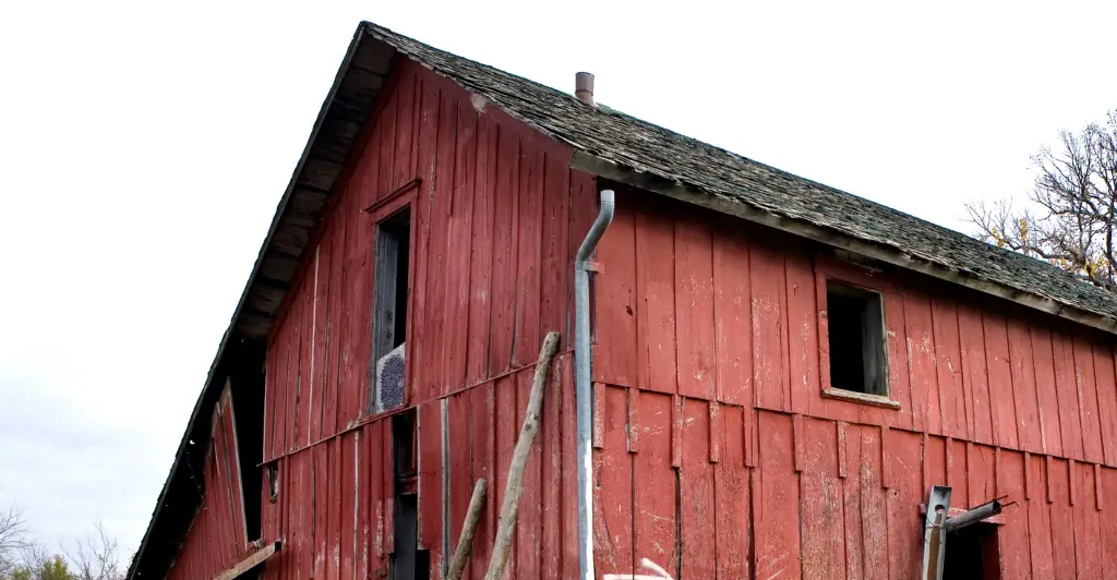 Woman shares chilling details after being held captive in disused barn for four years after meeting man on dating app