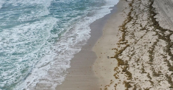 Man scouring Florida beach for turtle nests accidentally finds $4 million of cocaine instead