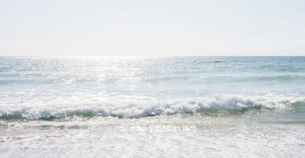 Family left in terror after they spotted alarming detail in background of beach photo