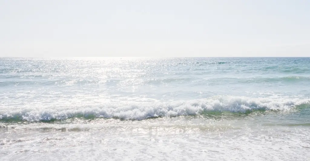 Family left in terror after they spotted alarming detail in background of beach photo