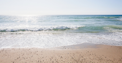 Family left in terror after they spotted alarming detail in background of beach photo