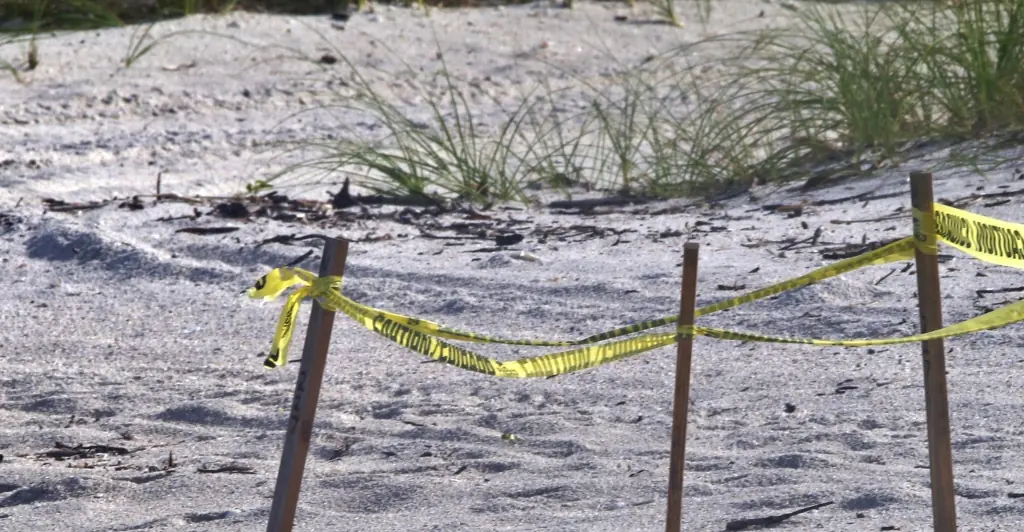 Investigation launched after human head washes up on Florida beach