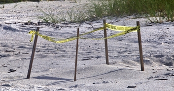 Investigation launched after human head washes up on Florida beach