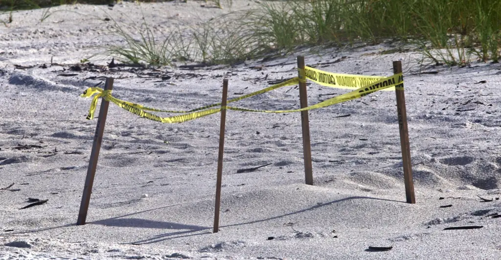 Investigation launched after human head washes up on Florida beach