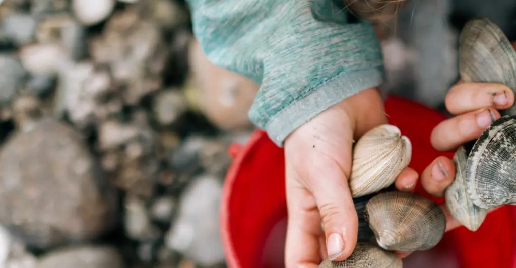 California mom receives fine for $89,000 after her kids collected 72 clams from beach thinking they were seashells